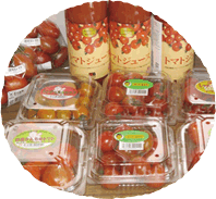 自家農園のトマト