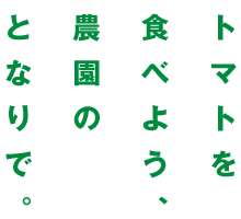 トマトを食べよう、農園のとなりで。